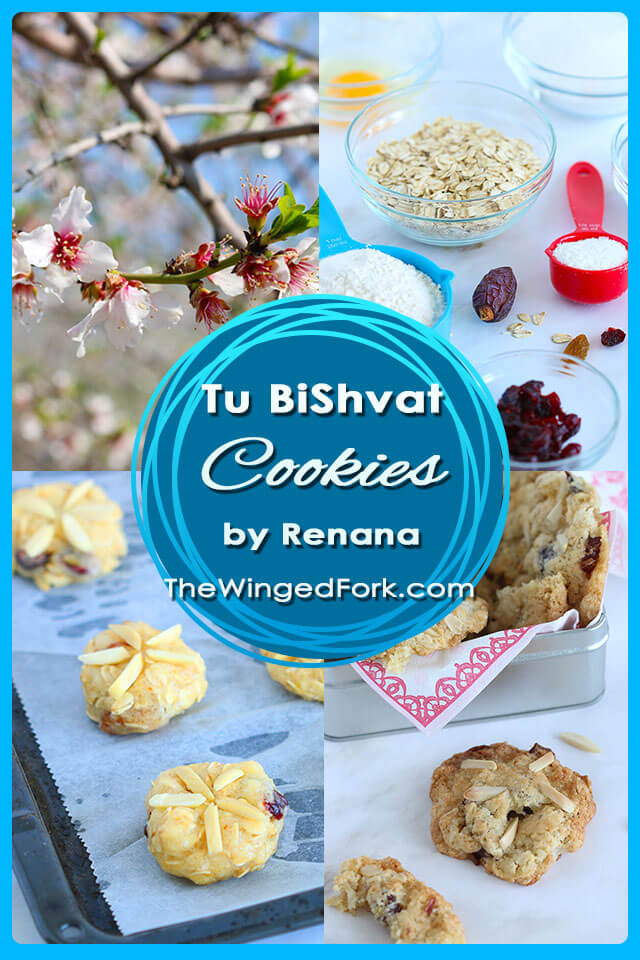 Tu BiShvat Cookies - By Renana from Renana’s Kitchen
