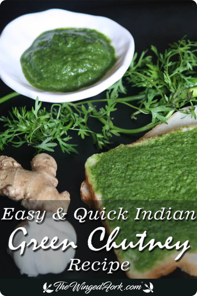 How to make Green Chutney - By Abby from AbbysPlate