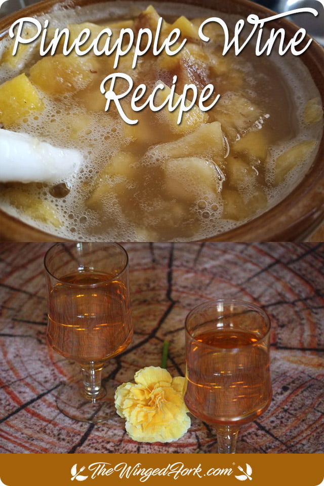 Pinterest image with two pics, first of fermenting pineapple wine, second of two glasses of pineapple wine next to a flower