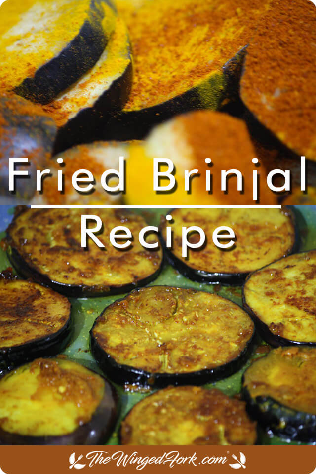 Fried Brinjal Recipe - By Abby from AbbysPlate