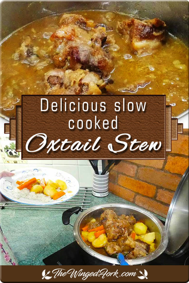 Pinterest images of Oxtail stew and served with rice.