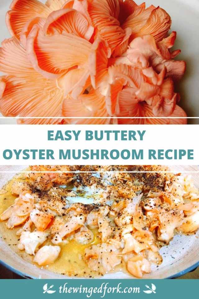 Pic of oyster mushroom on a white plate and oyster mushrooms in a frying pan for a Pinterest image depicting recipe of buttery oyster mushrooms