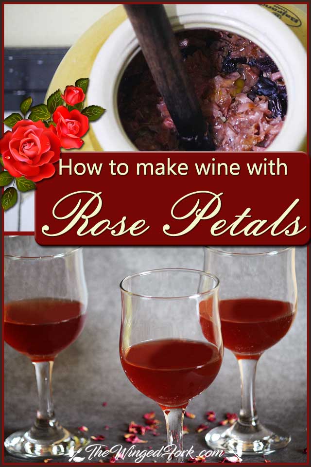 Pinterest images of rose petals kept to rest for few days and rose petal wine served in a wine glass.