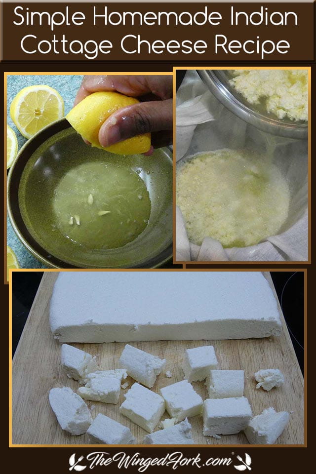 Pinterest images of squeezed lemon, separated curd and whey and ready paneer cubes.