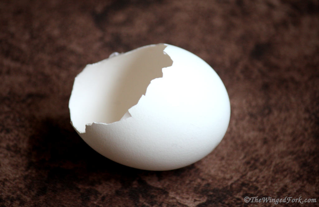 A broken egg shell.