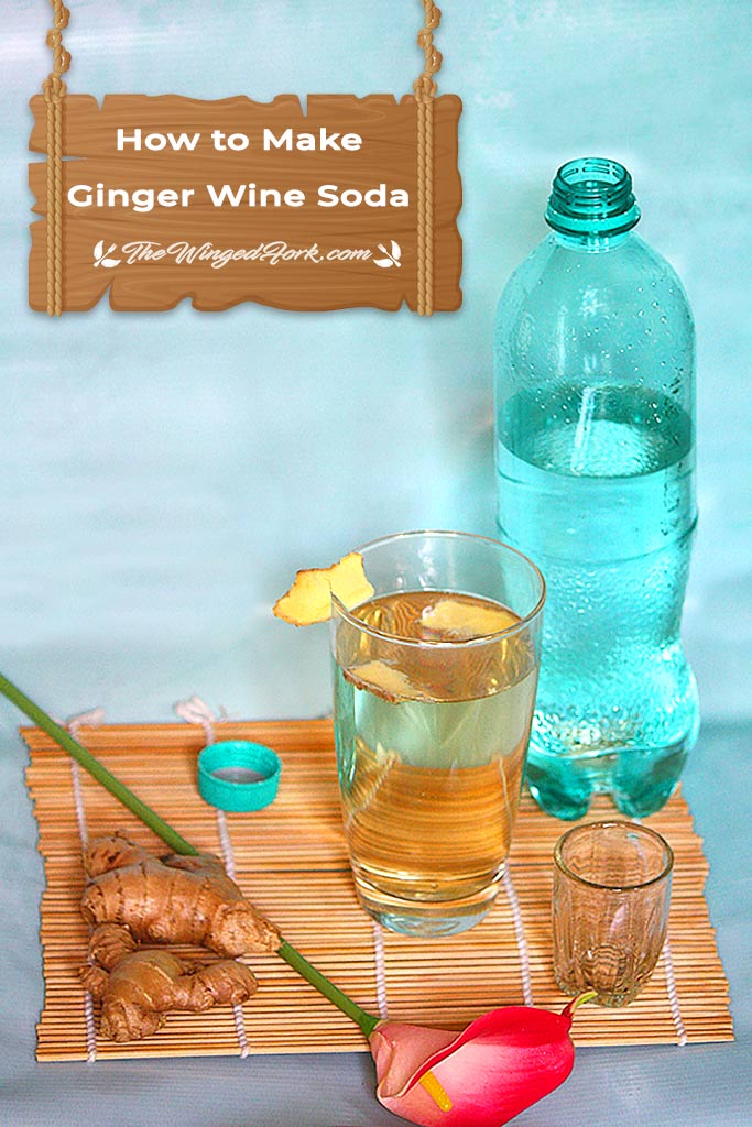 Pinterest image of how to make ginger wine soda.